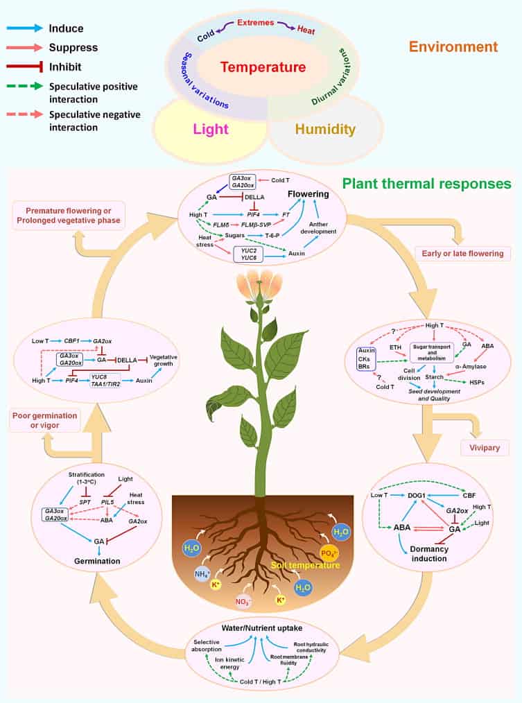 temperature humidity light science direct