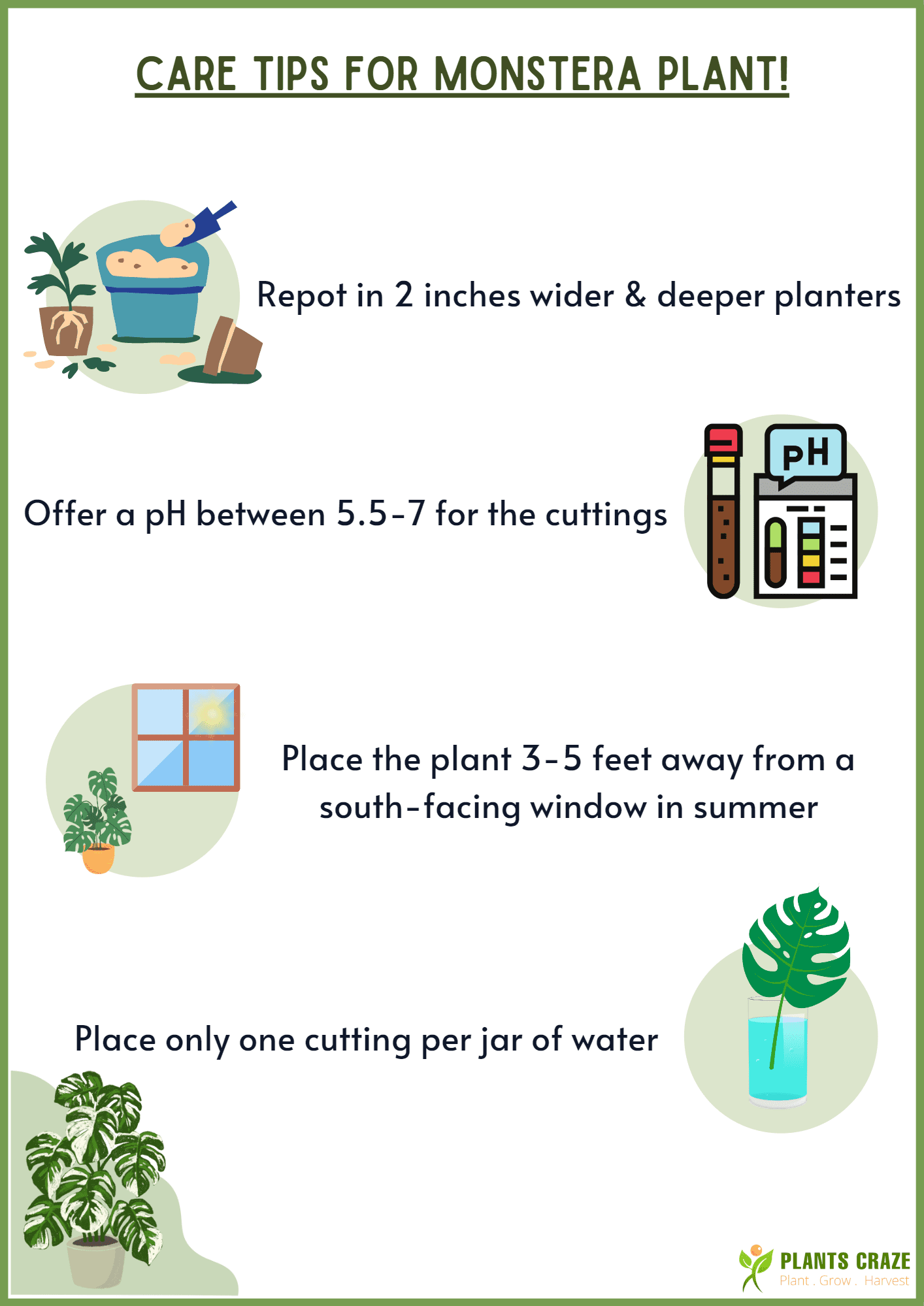 Image illustrates additional care tips for Monstera plant