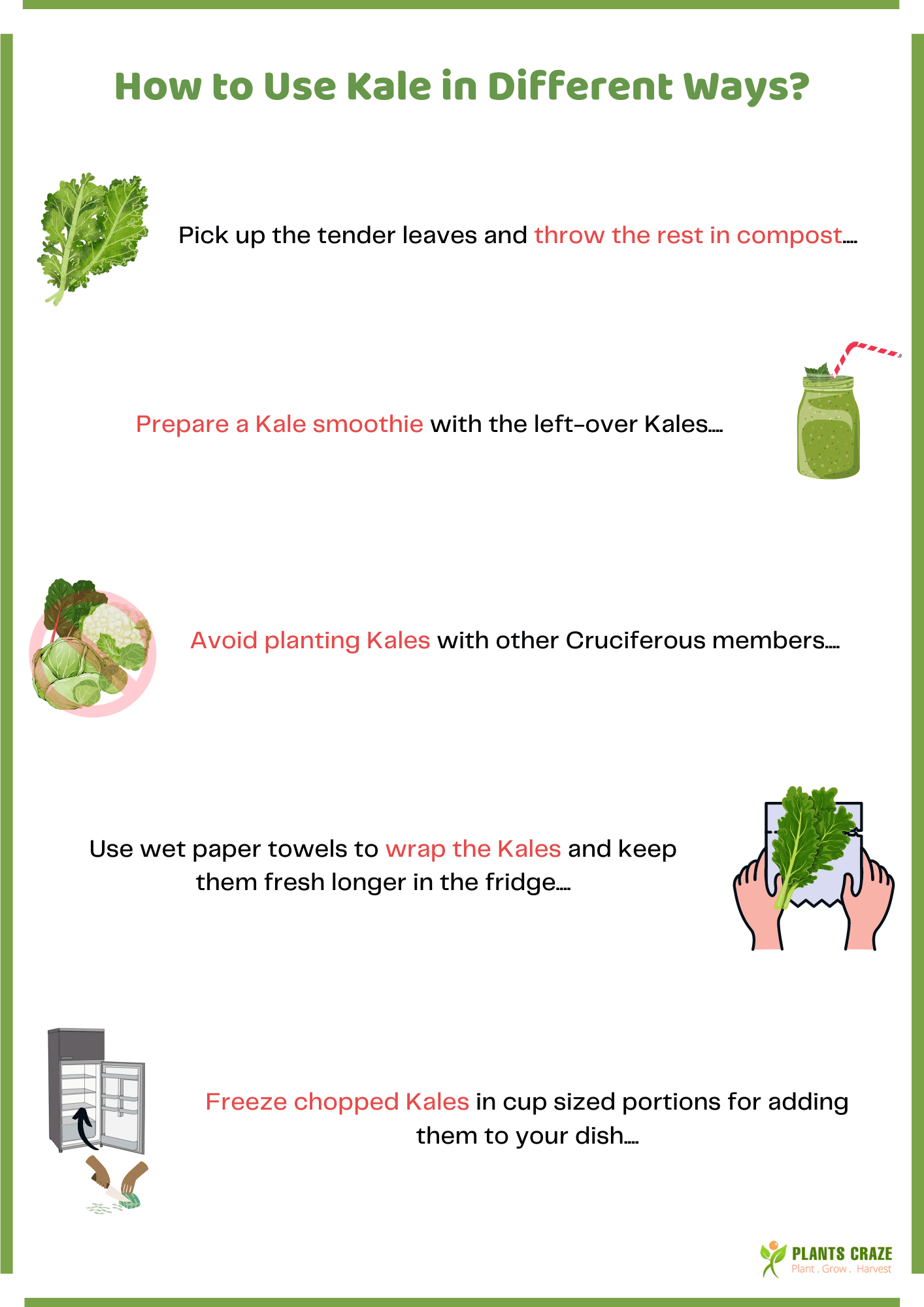 Image illustrates the use of Kale in different ways