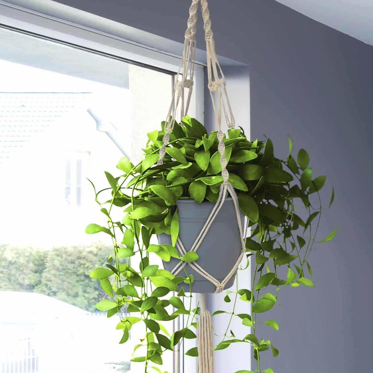 Sorbus Macrame Plant Hanger