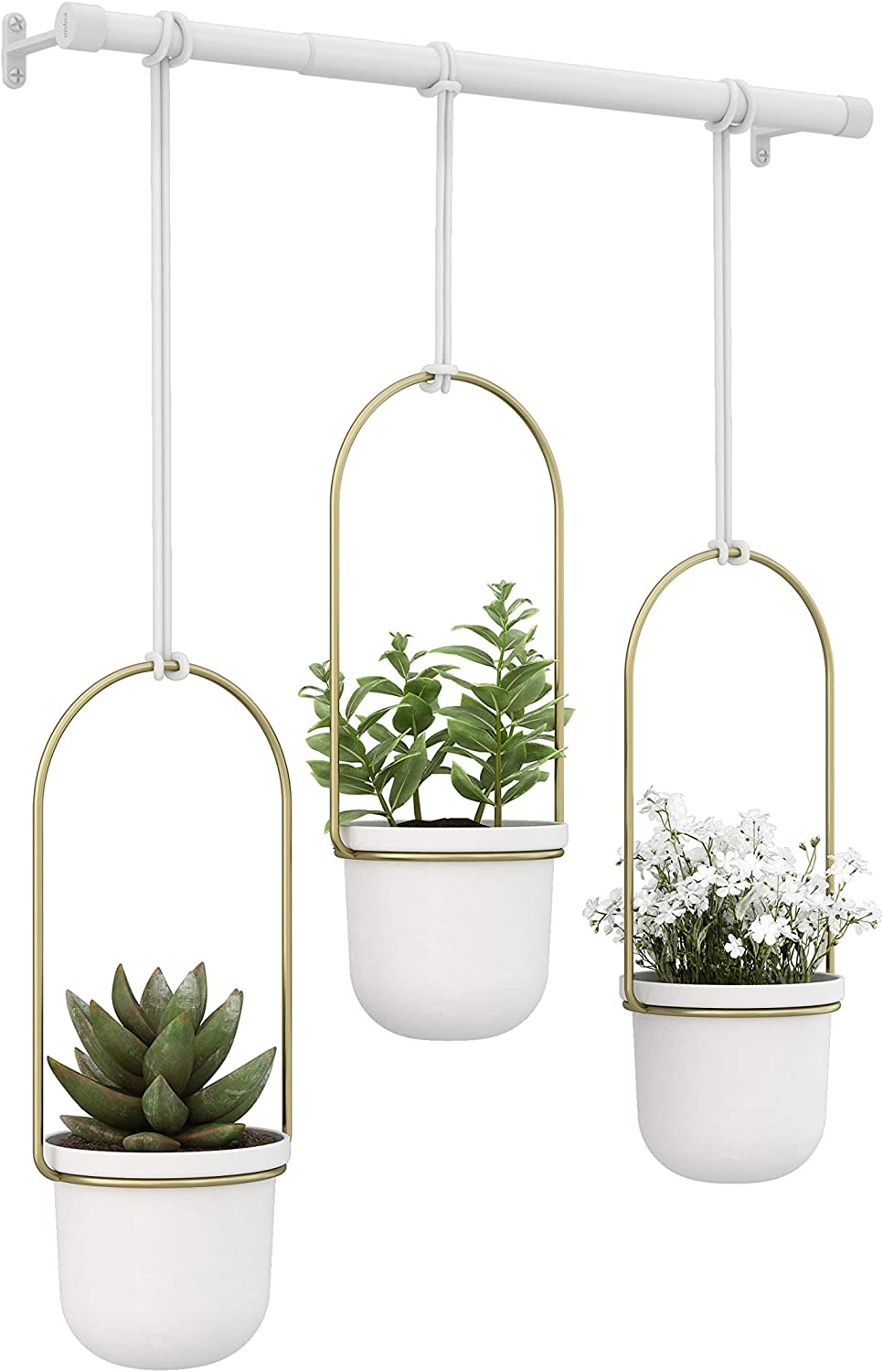 Umbra Triflora Hanging Pots for indoor herbs