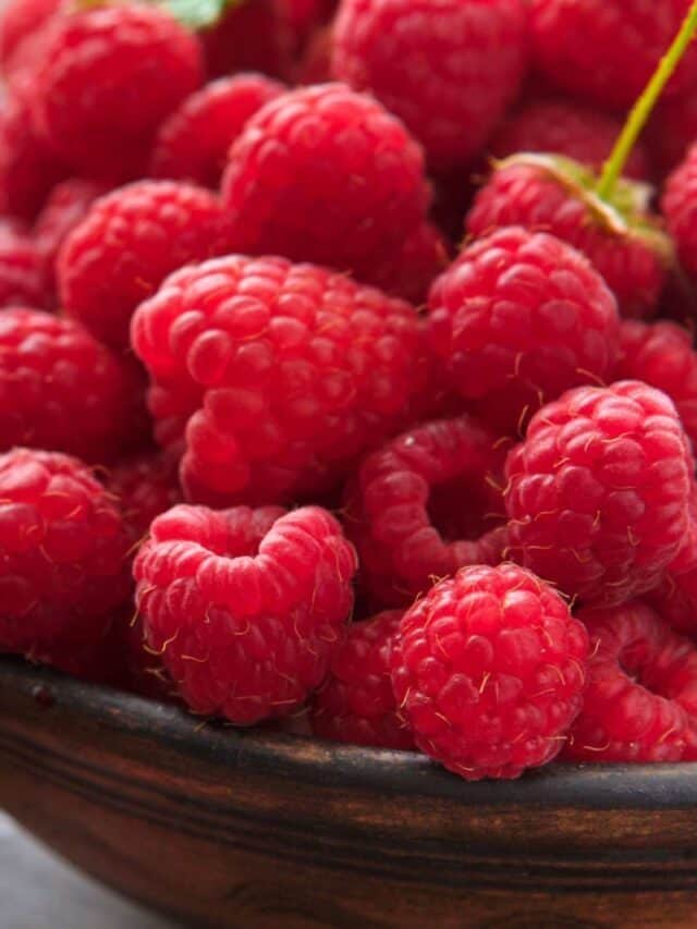 7 Best Raspberry Companion Plants