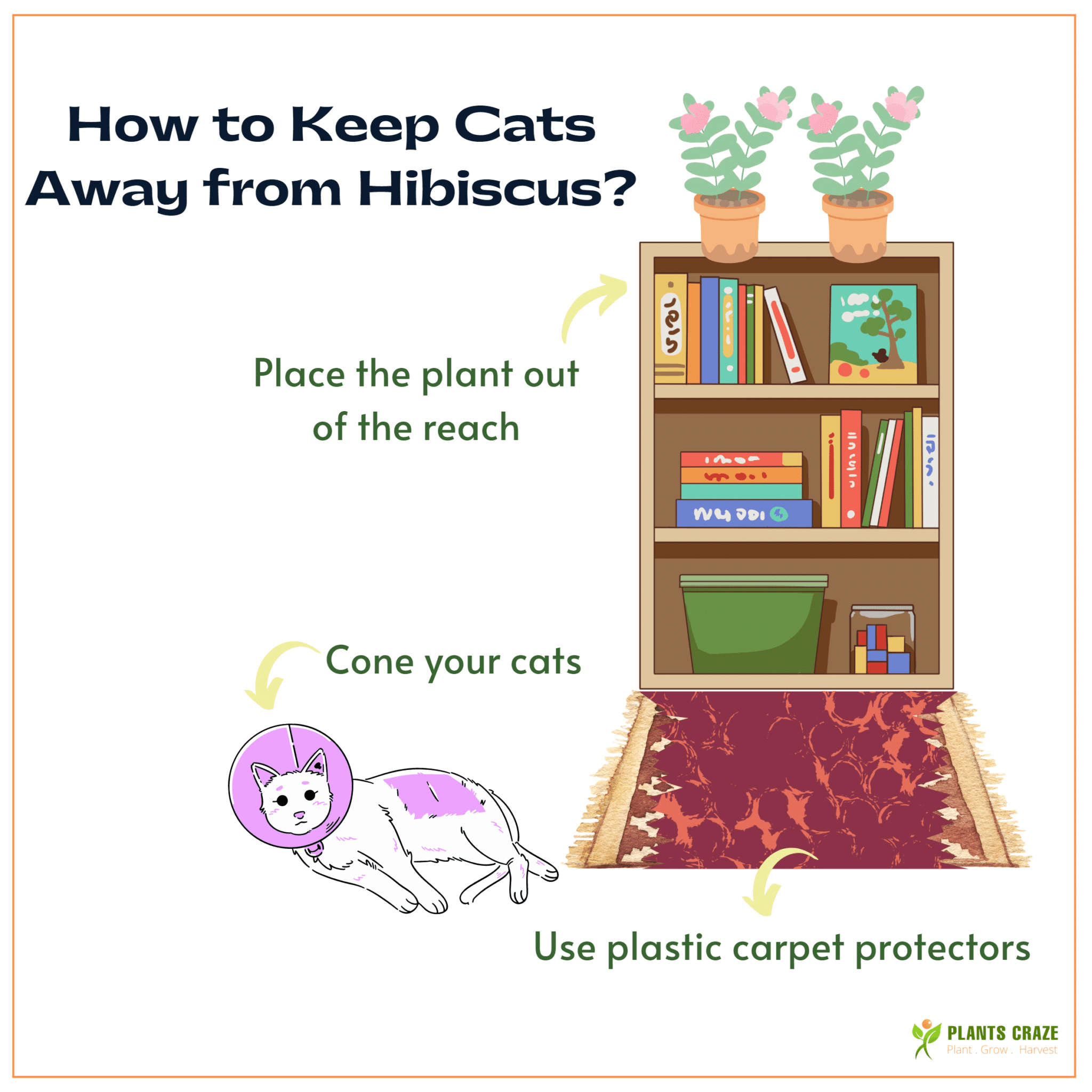 Image illustrates the ways to keep cats out of the reach of houseplants