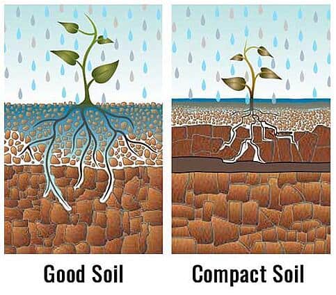 Soil compactness explained