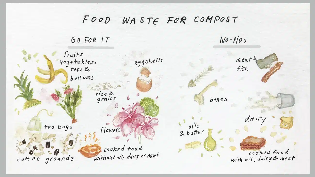 Homemade Compost