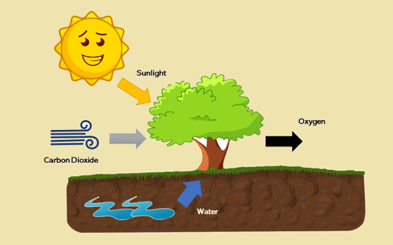 Oxygen Plants