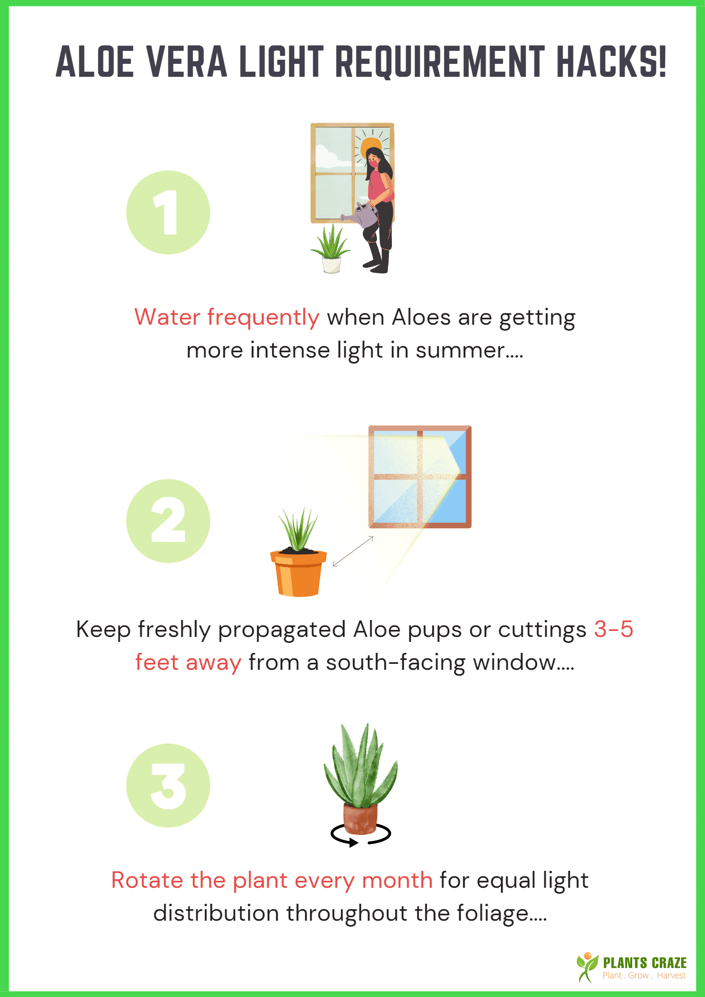 Image illustrates additional care requirements for Aloe Vera plants