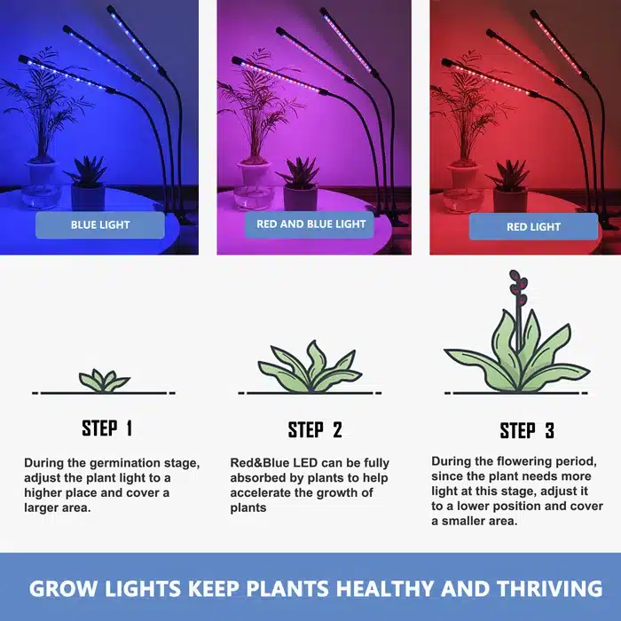 Grow lights for Indoor plants