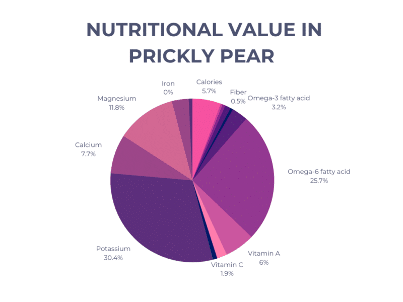 10+ Prickly Pear Benefits with Side Effects