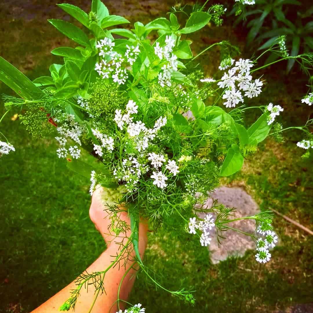 Person holding flower bouquet in a hand