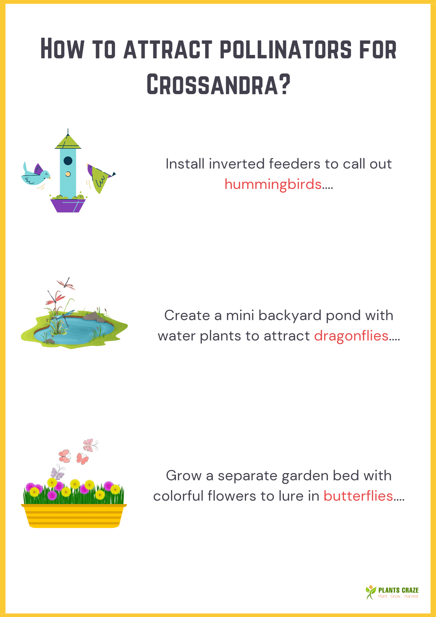 Images illustrates some methods to attract pollinators for Crossandra flowers