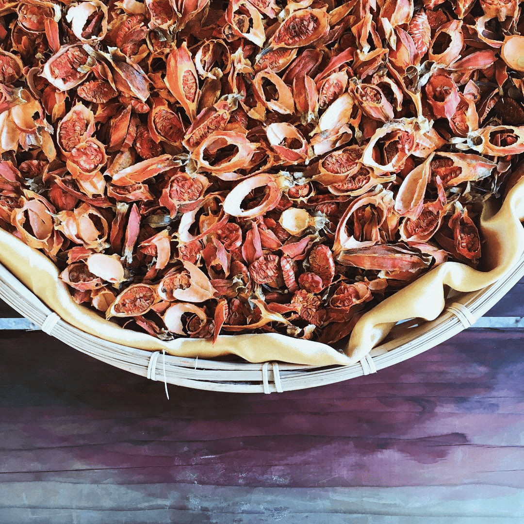 properly ripened gardenia seeds on a basket