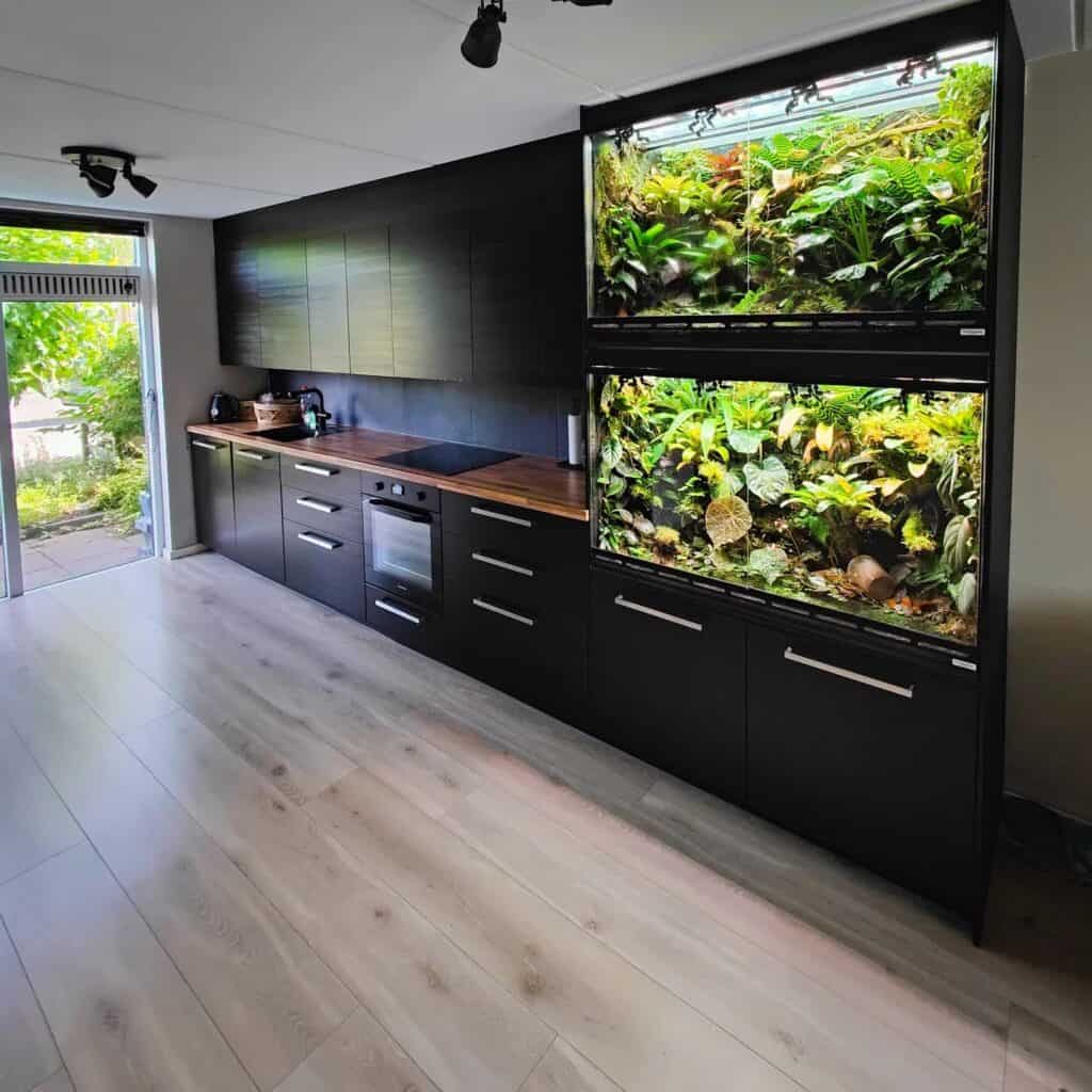 kitchen incorporated with plants