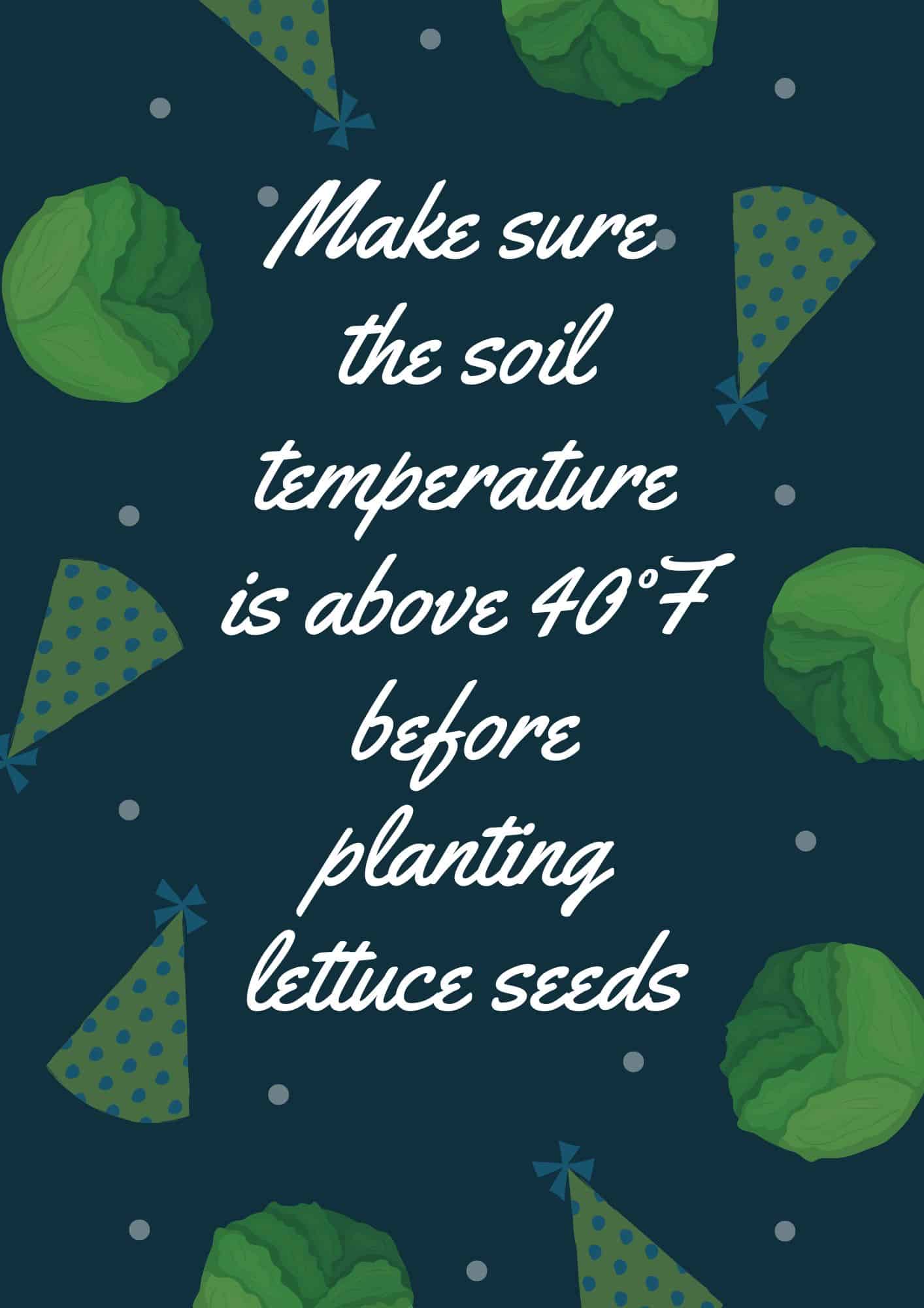 Soil temperature for lettuce