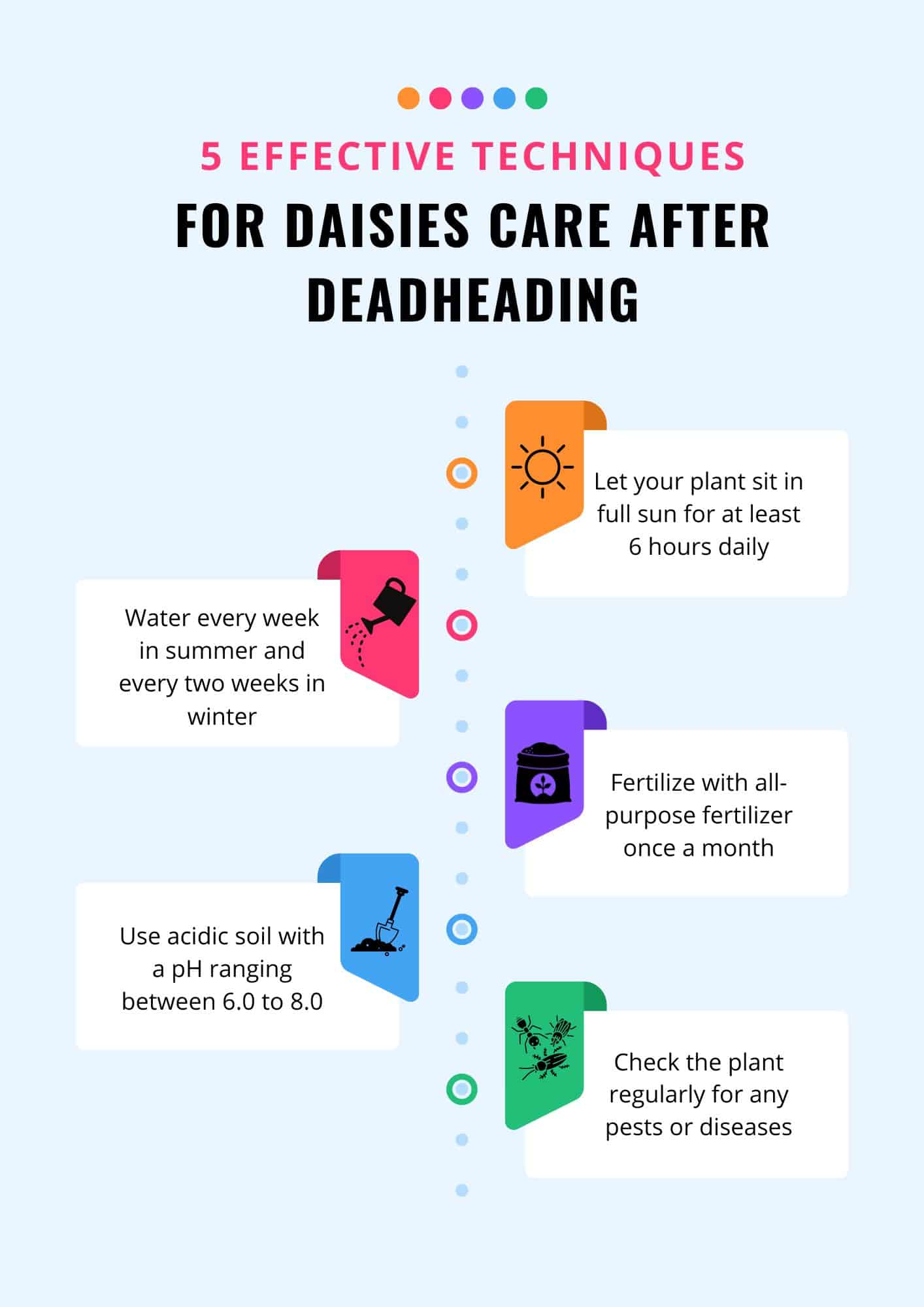 Care for daisies