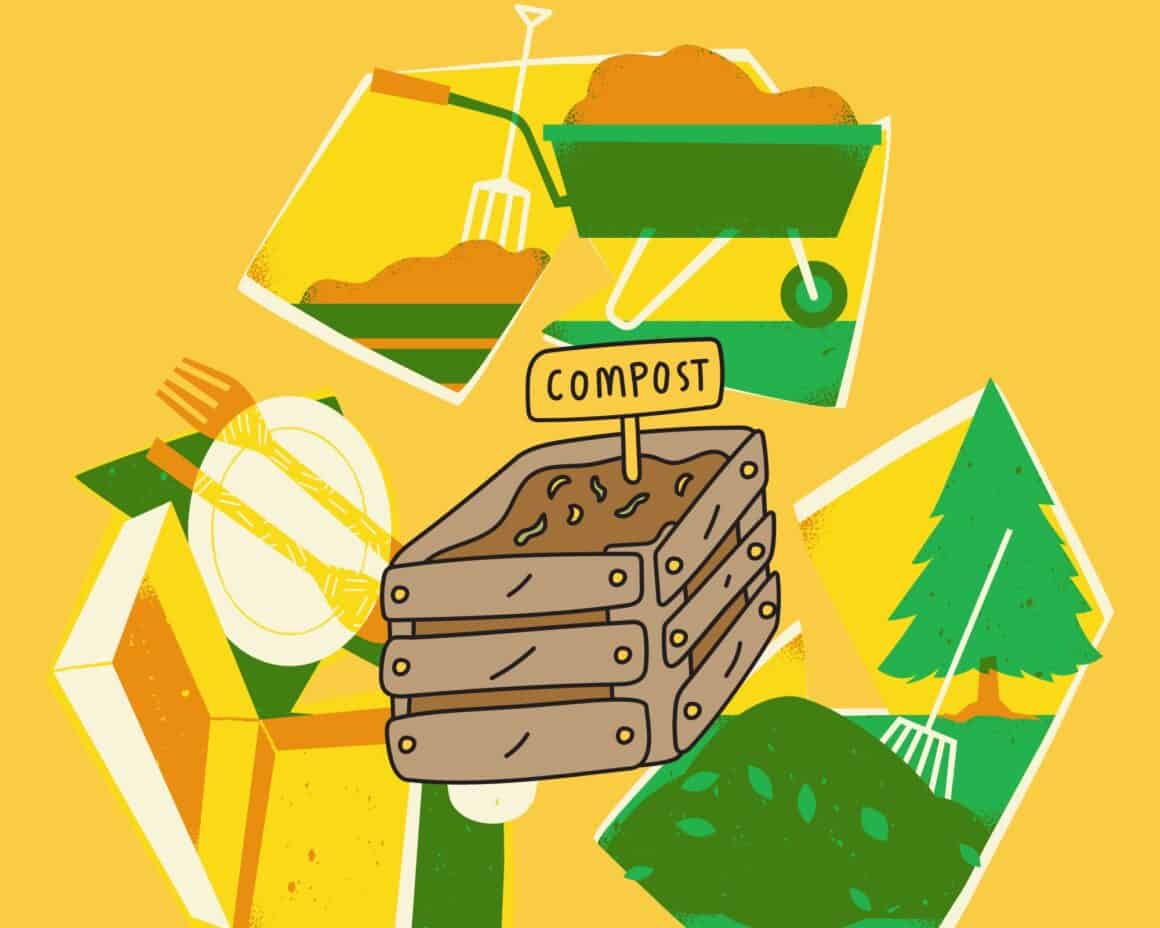 What is the Best Compost for Garden?