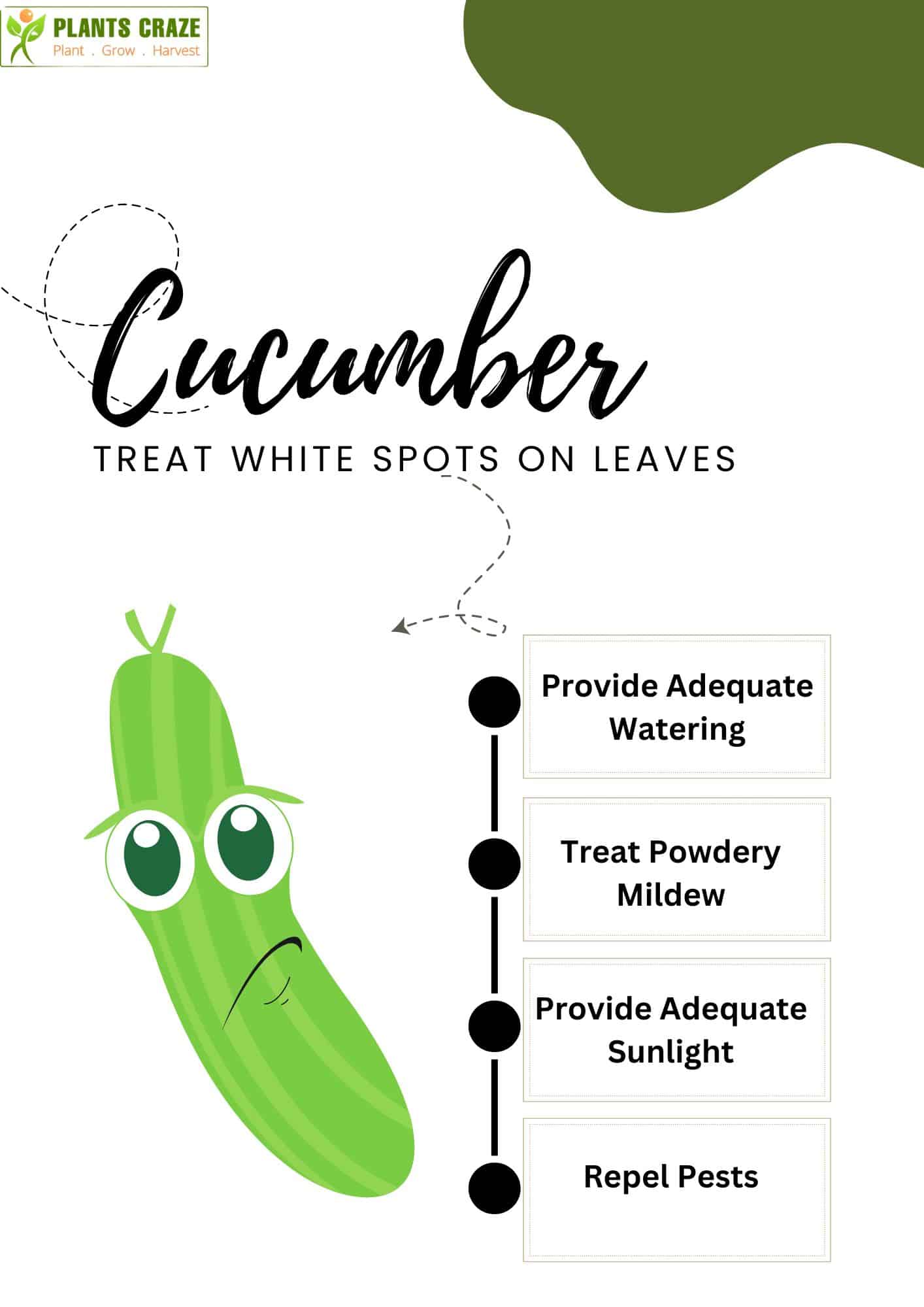 Treat white spots on cucumber leaves