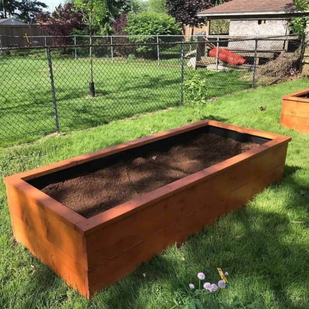 Proper location for raised garden bed