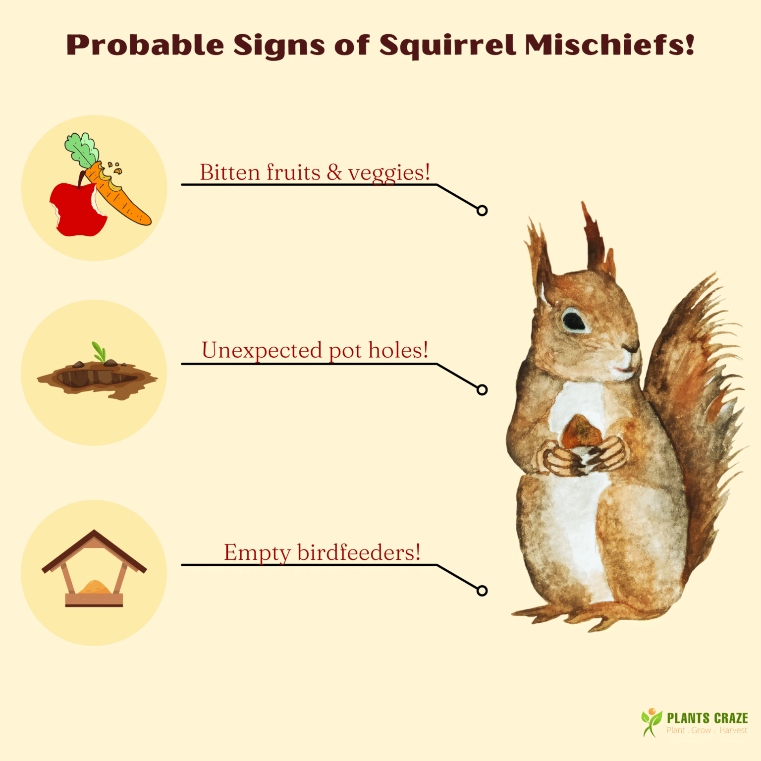 Keep Squirrels from Digging Up Plants [Top Approved Hacks]
