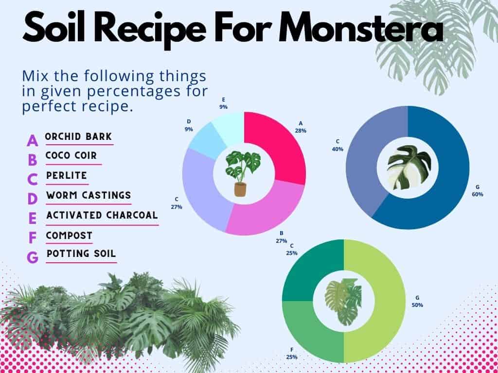 Monstera potting mix recipe