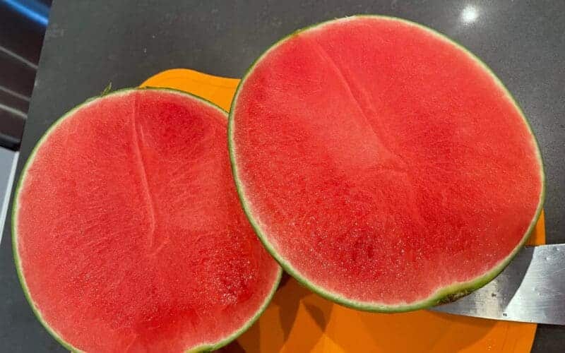 How to Grow Seedless Watermelon Seeds? Plants Craze