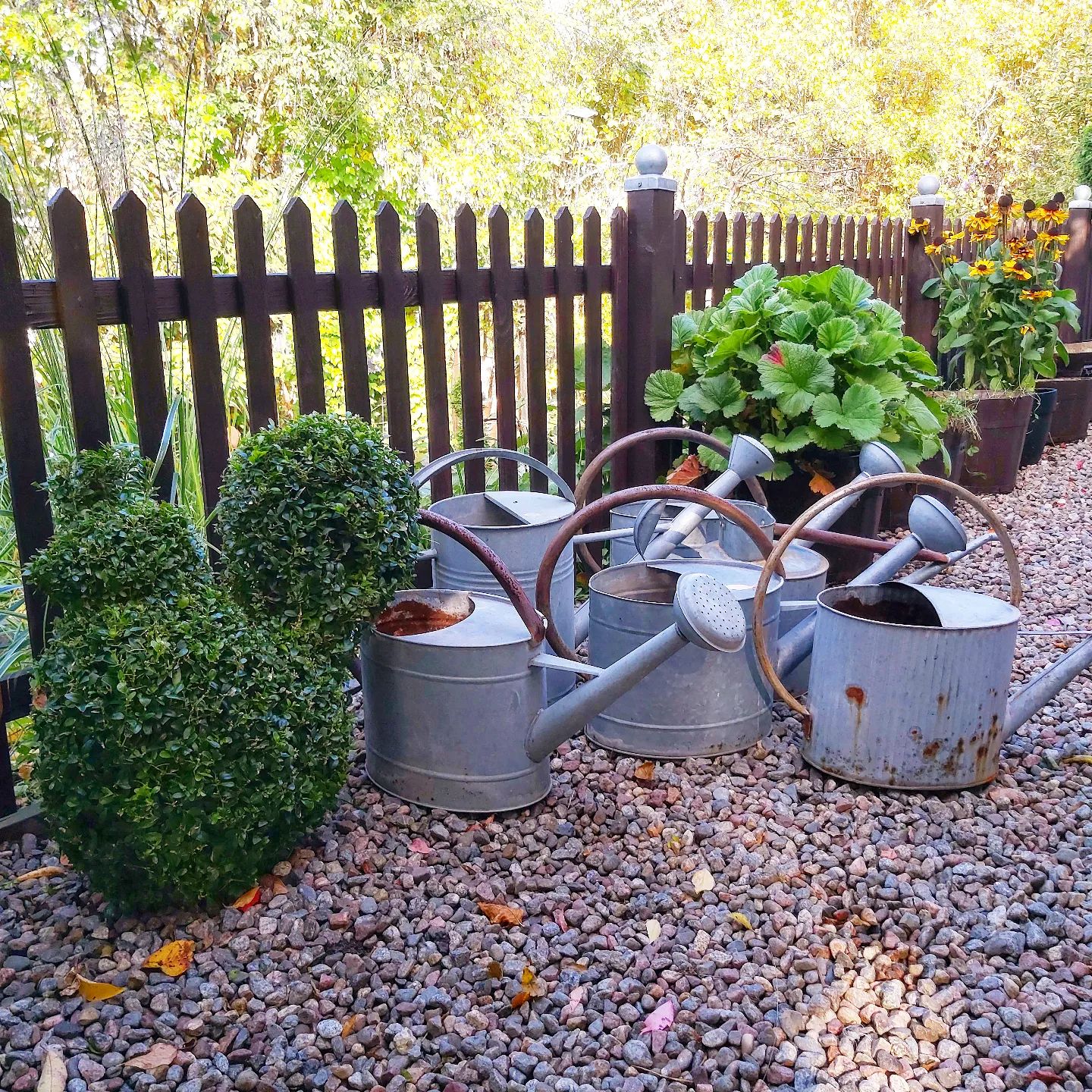 10 TopRated Garden Watering Cans (With Pictures)