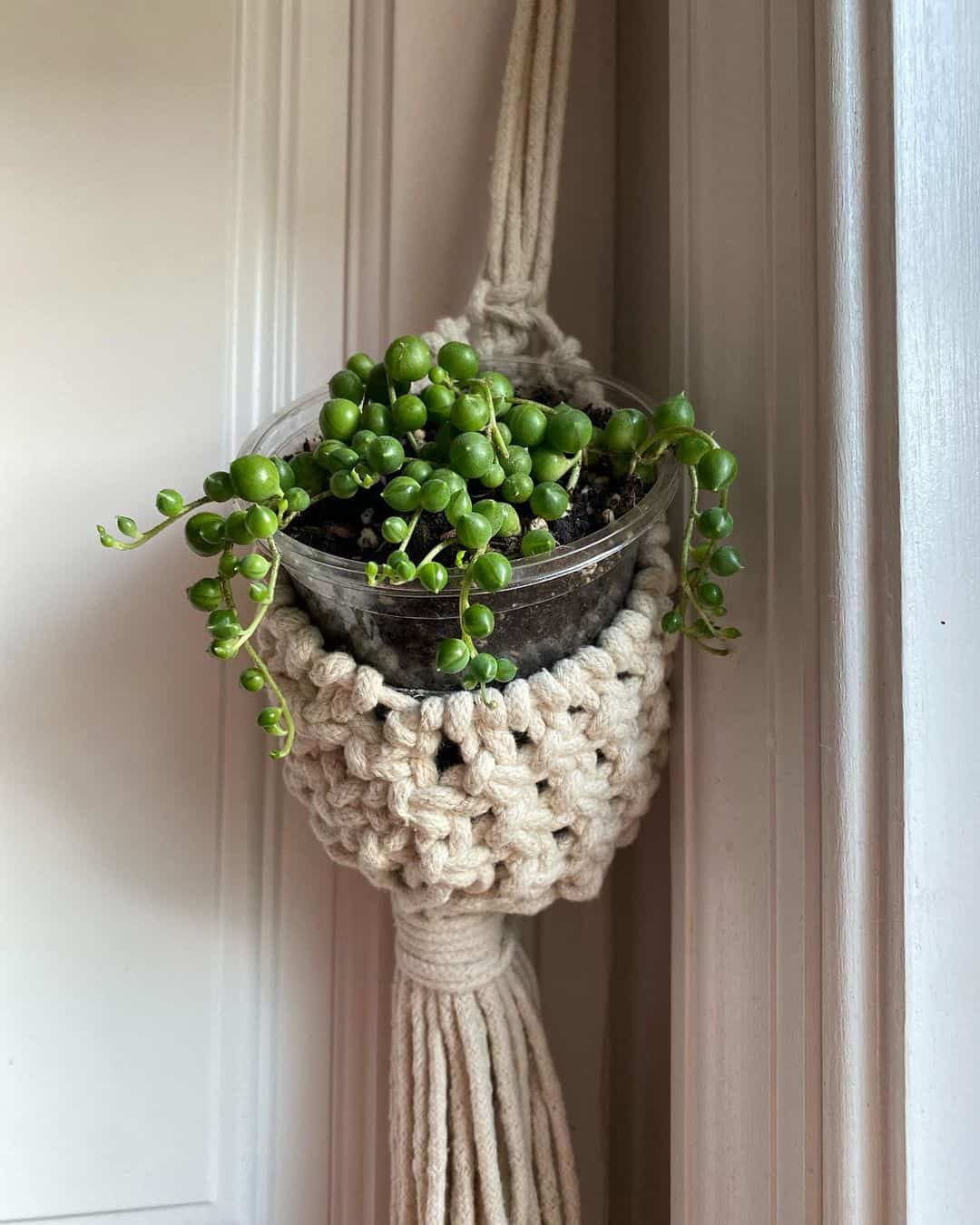 hanging String of Pearls