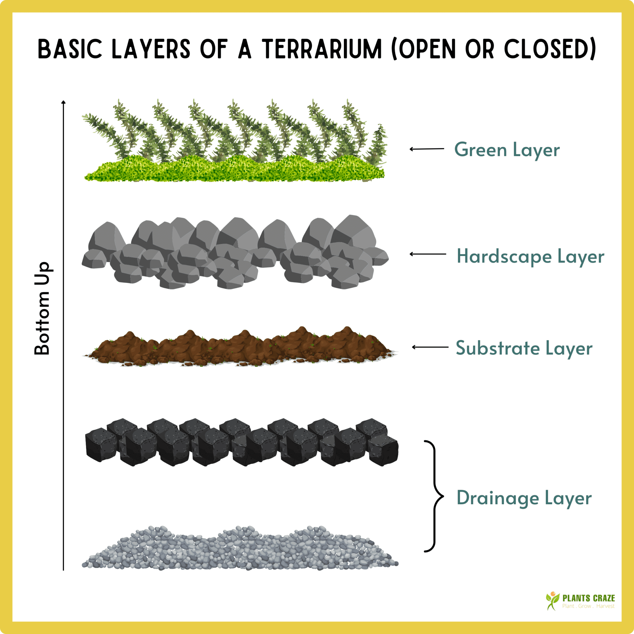 Image illustrates different layers of a Terrarium