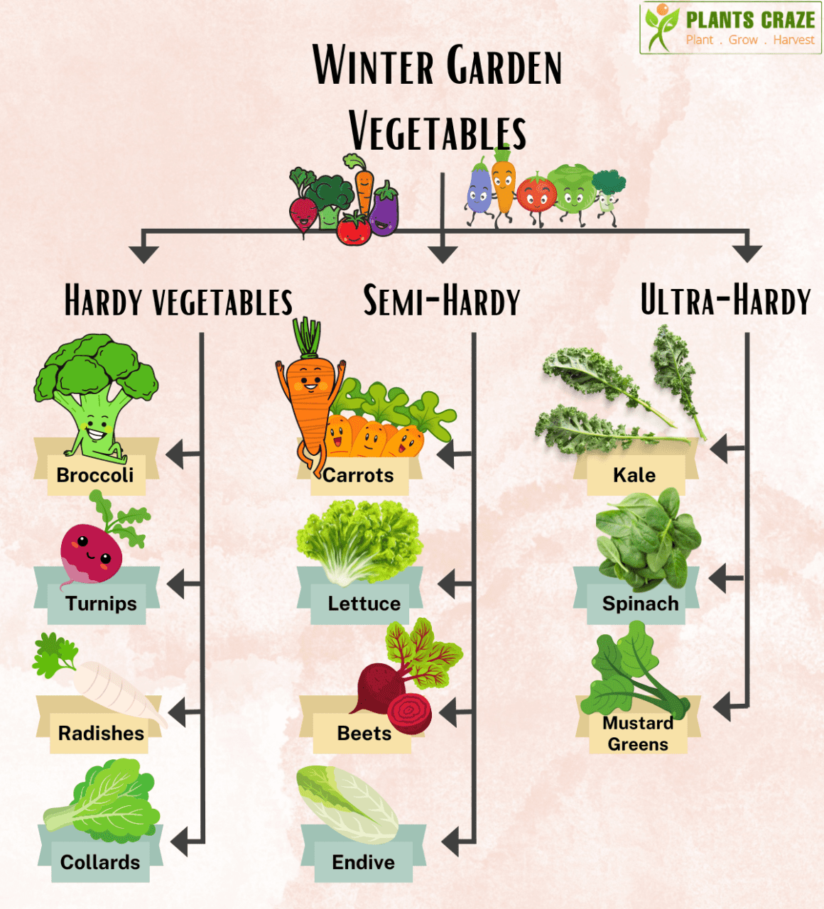10 Best Winter Vegetables In Garden Plants Craze vegetables-to-plant-in-spring-australia-image-to-u