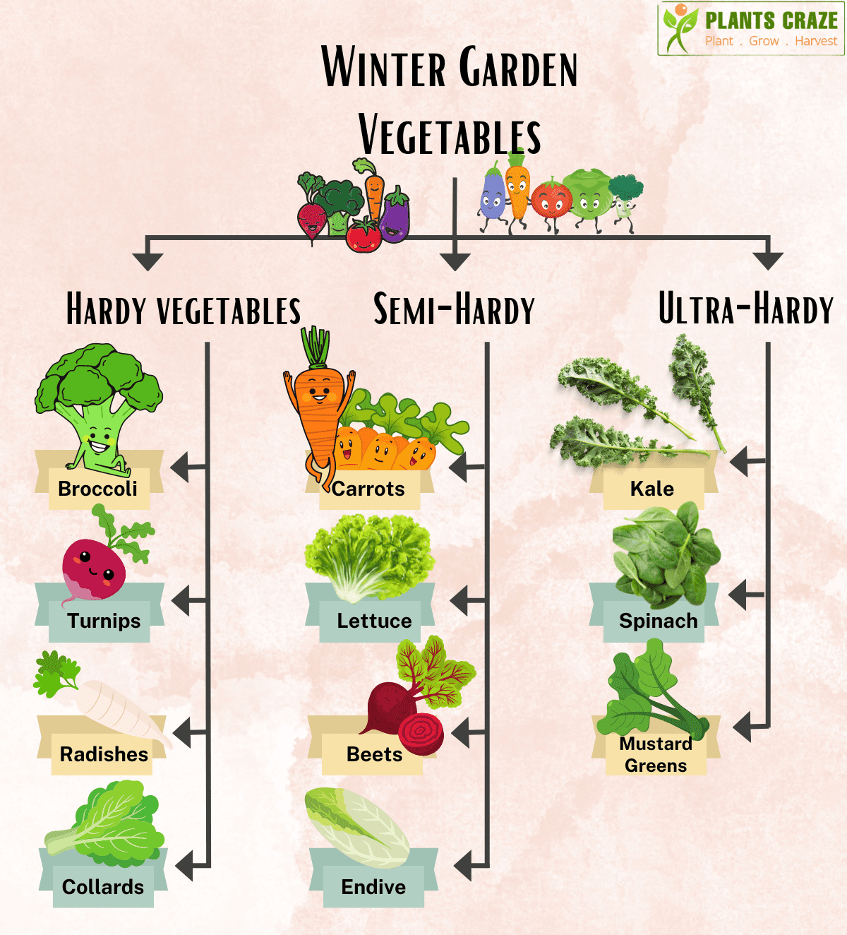 category tree of winter vegetables