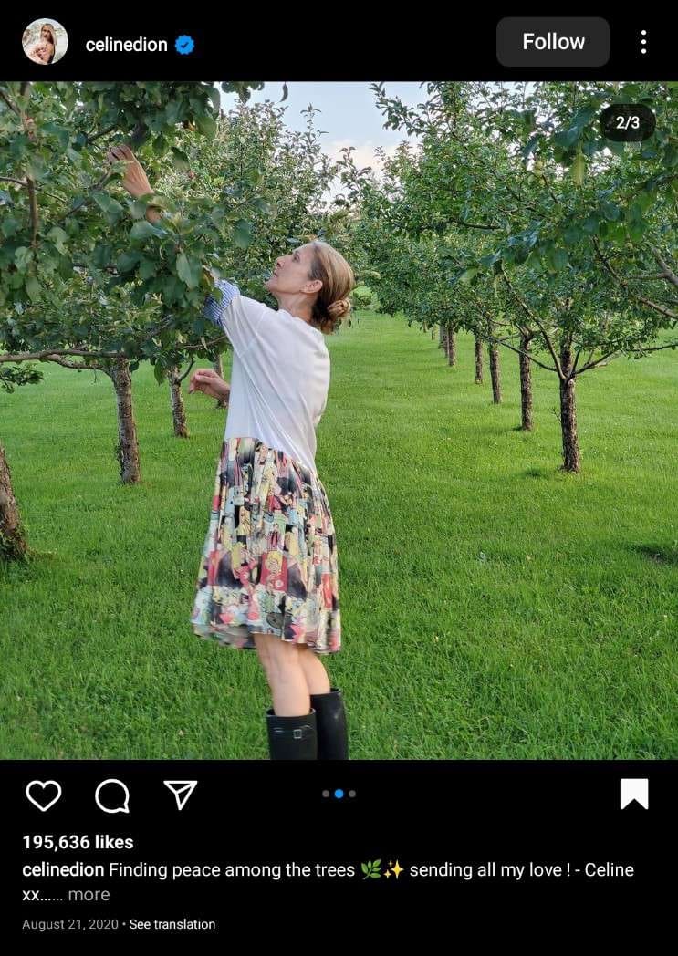 Celine Dion, wearing floral dress and black rubber boots, is trying to pick apple from the garden.