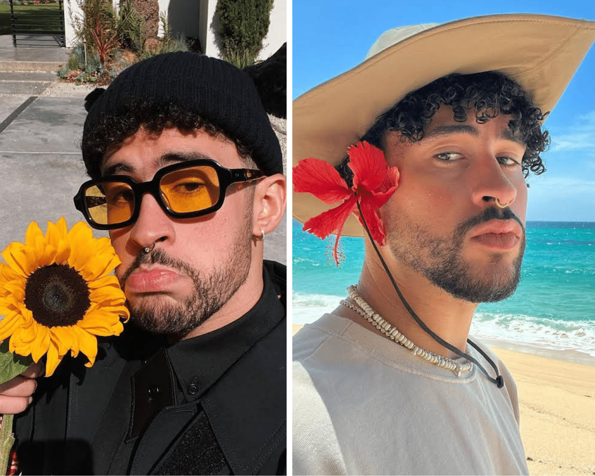 A collage of Bad Bunny with the Hibiscus and sunflower flower.