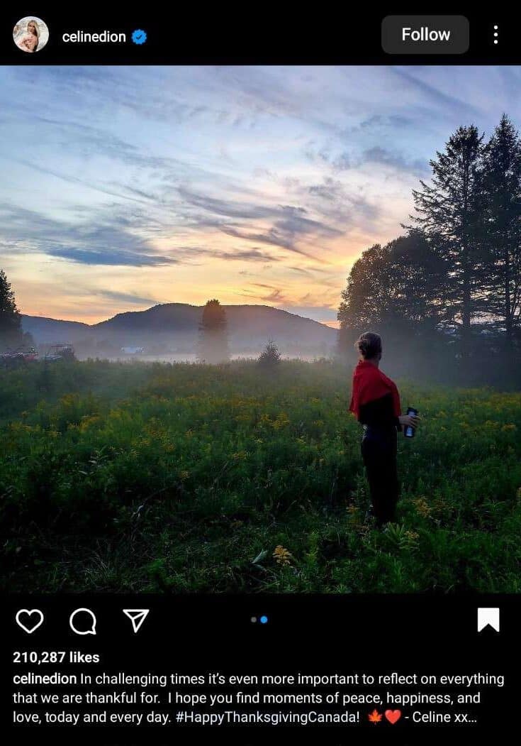 Celine Dion wearing red cardigan is standing by the side of a grassland filled with yellow flower.