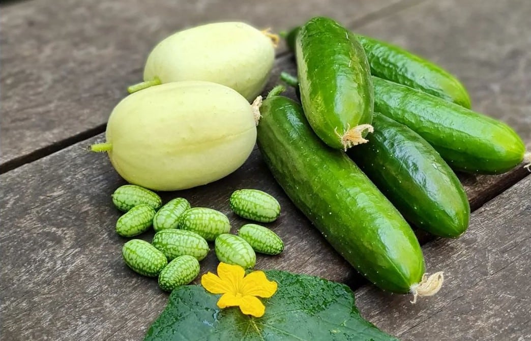 tomato-cucumber-salad