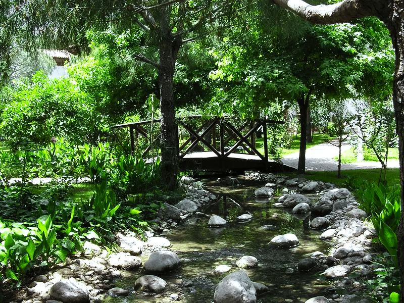 artificial stream of bill gates luxe house on the shore of Washington lake