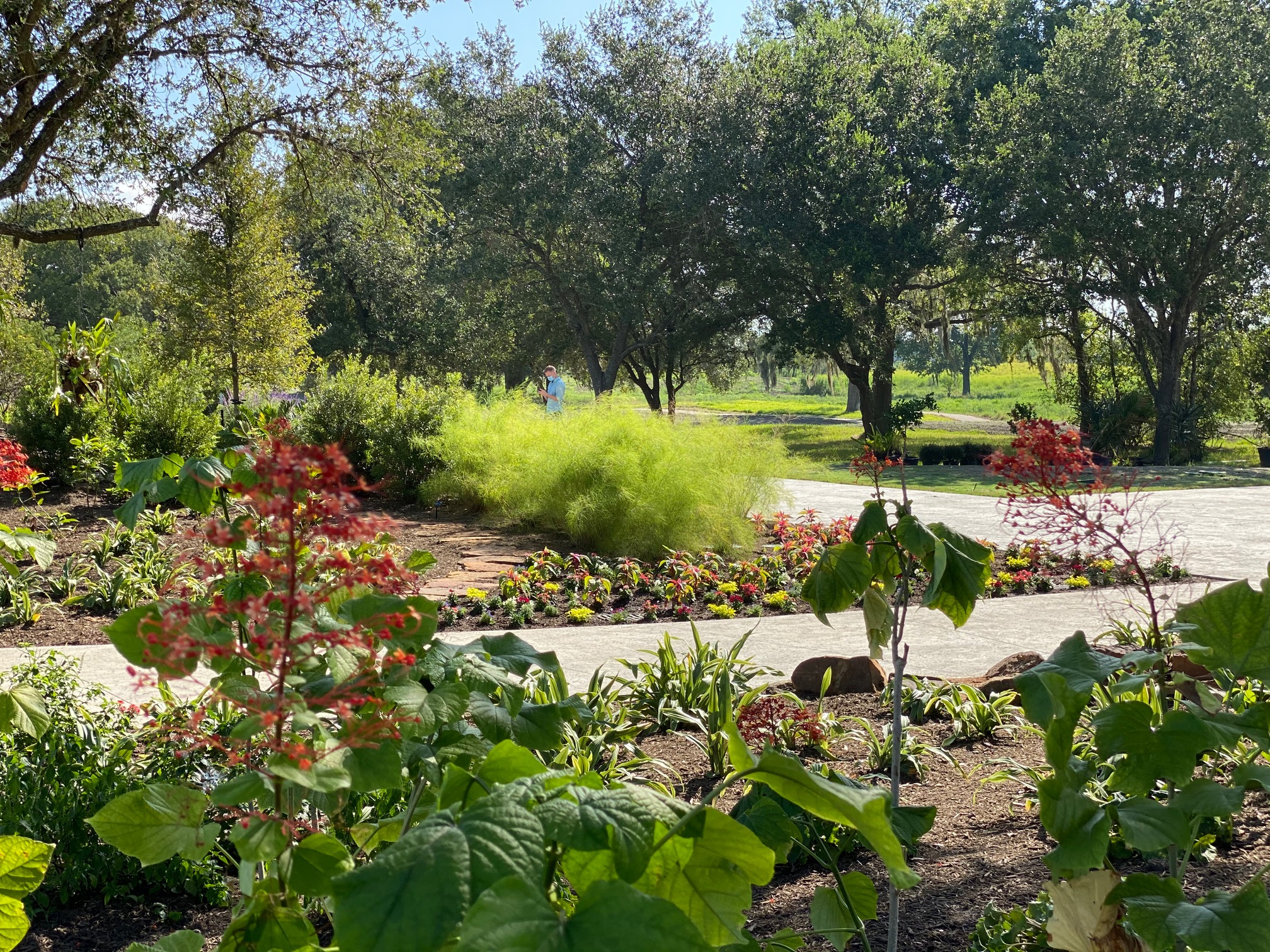 houston botanic garden