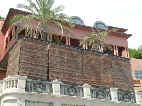 Palms on the house 