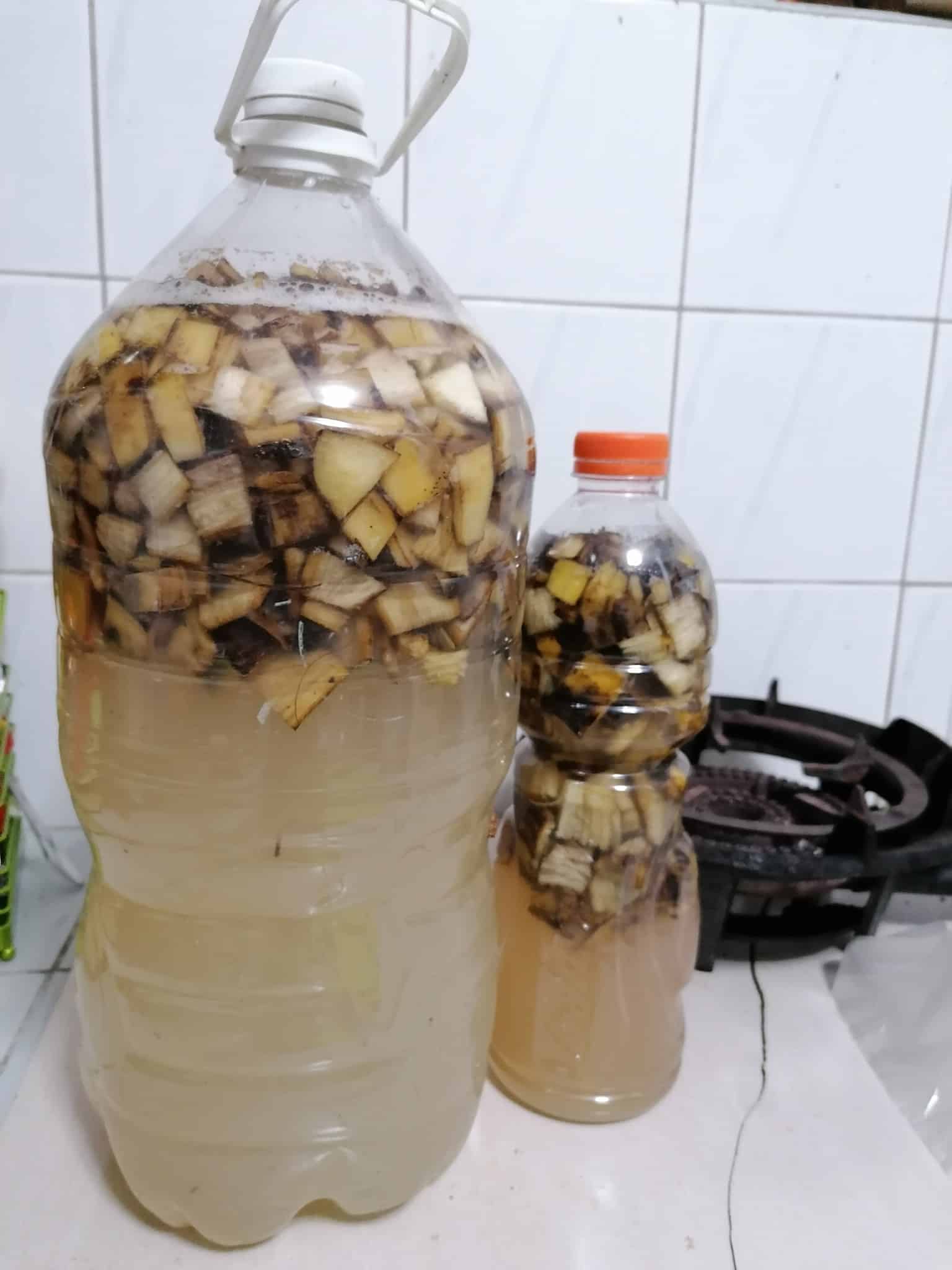 Image represents preparing fertilizer from Banana peels