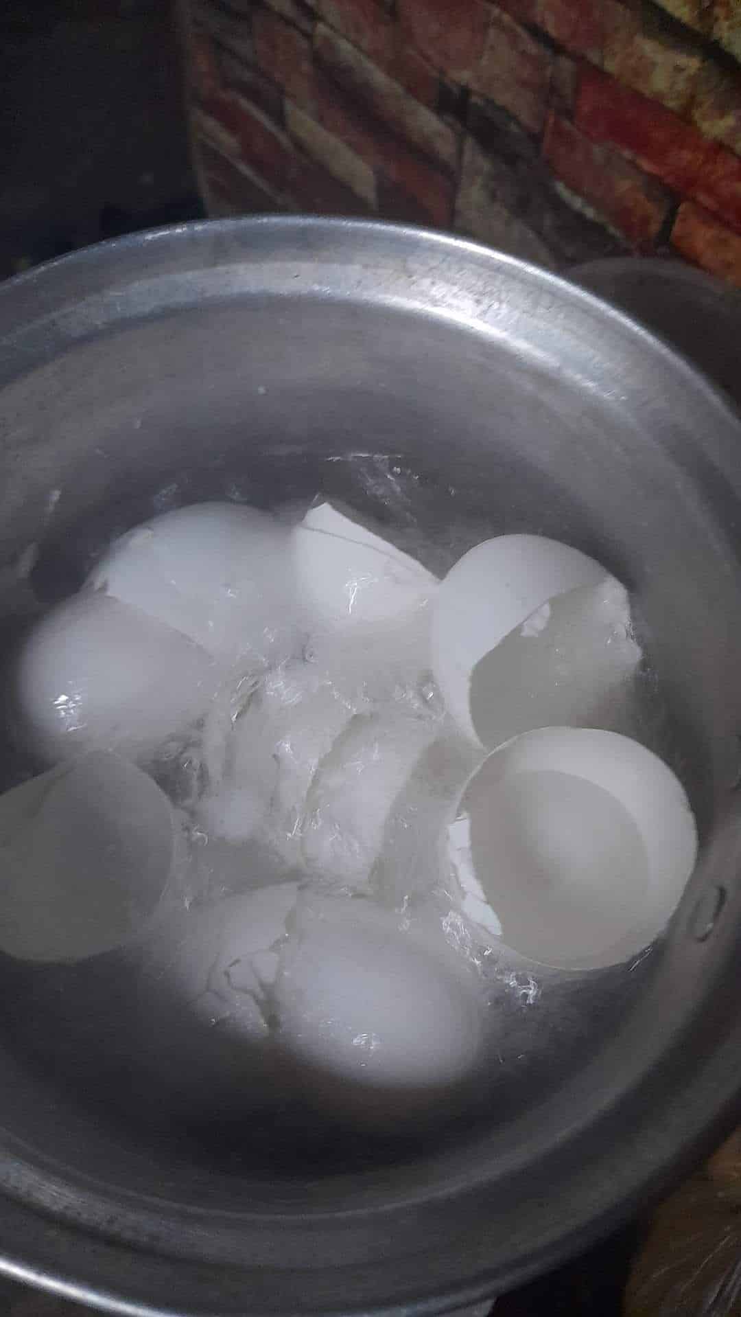 An image of white egg shells being boiled in a container.