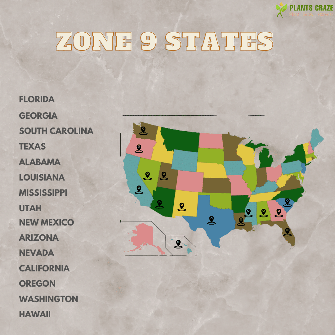 Map of the Zone 9 with states mentioned.