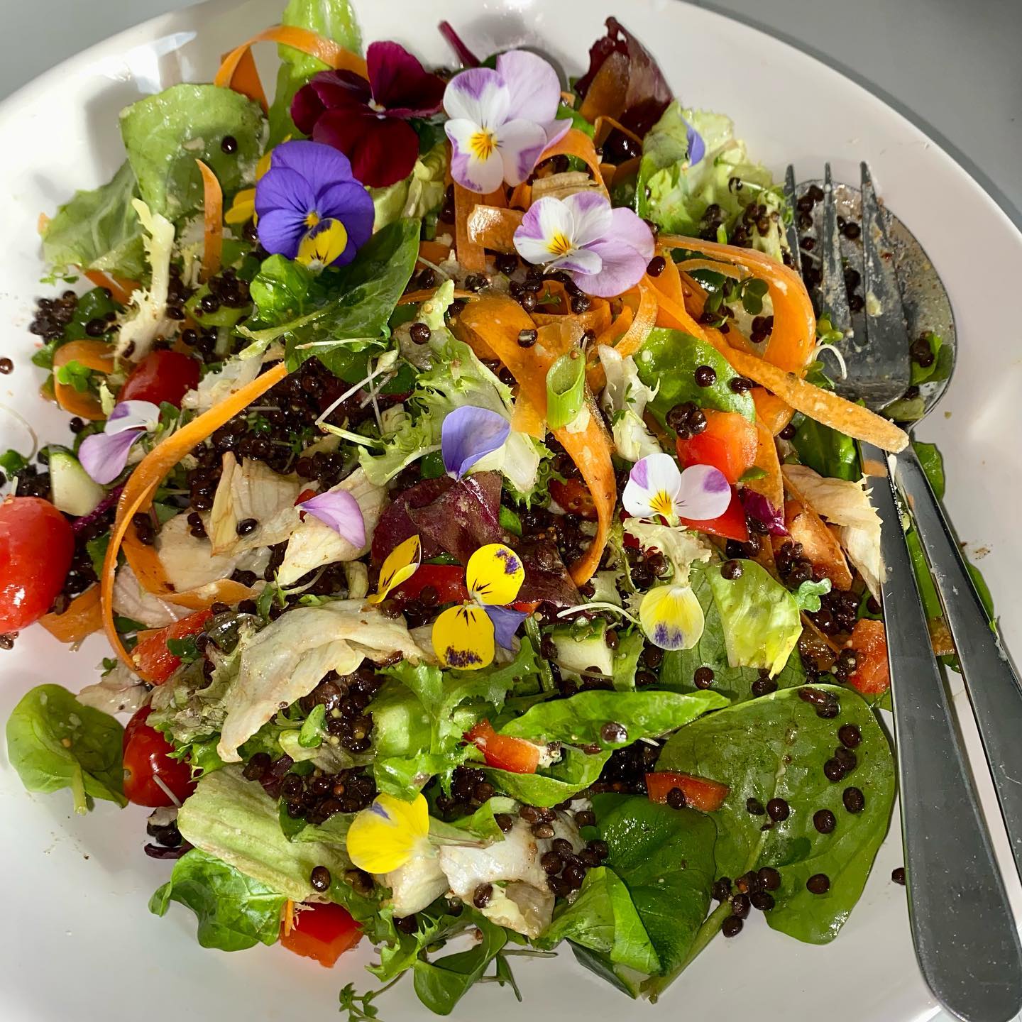 Salad prepared from cucumbers, onions, carrots, and violas.