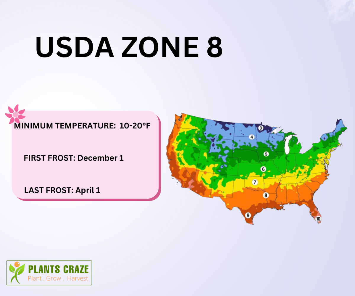 zone 8 map chart