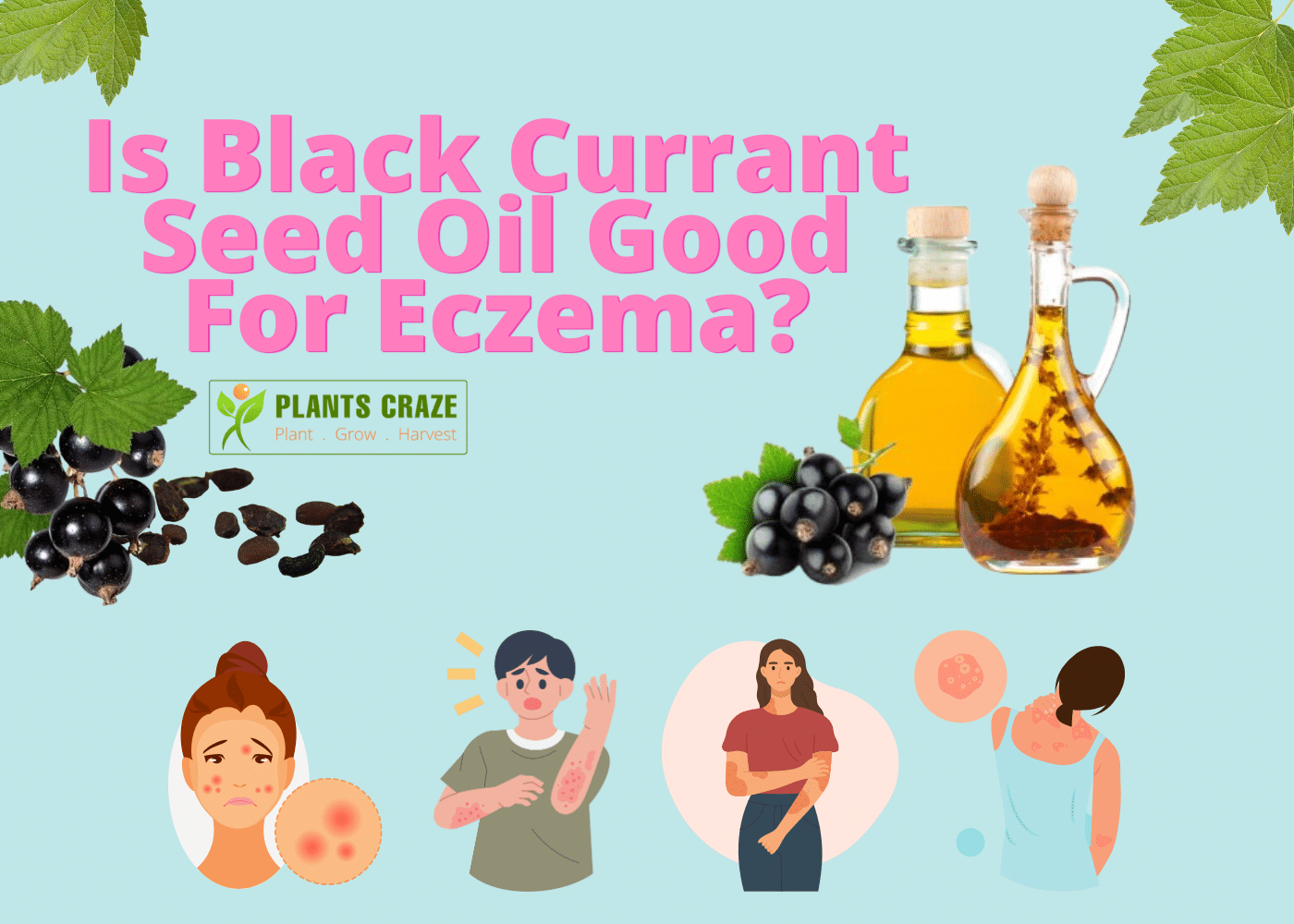 can-black-currant-seed-oil-treat-eczema-how-to-use-it