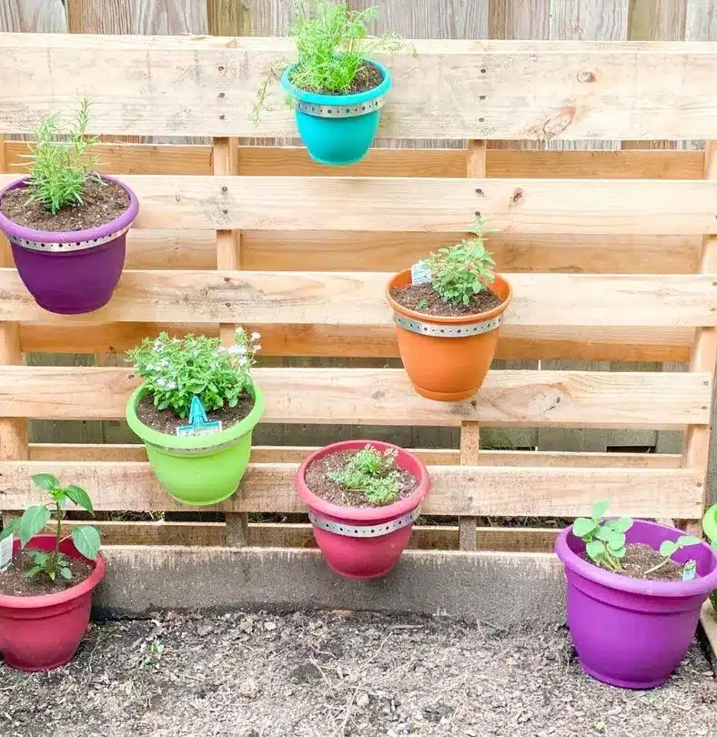 A vertical pallet garden with colorful pots