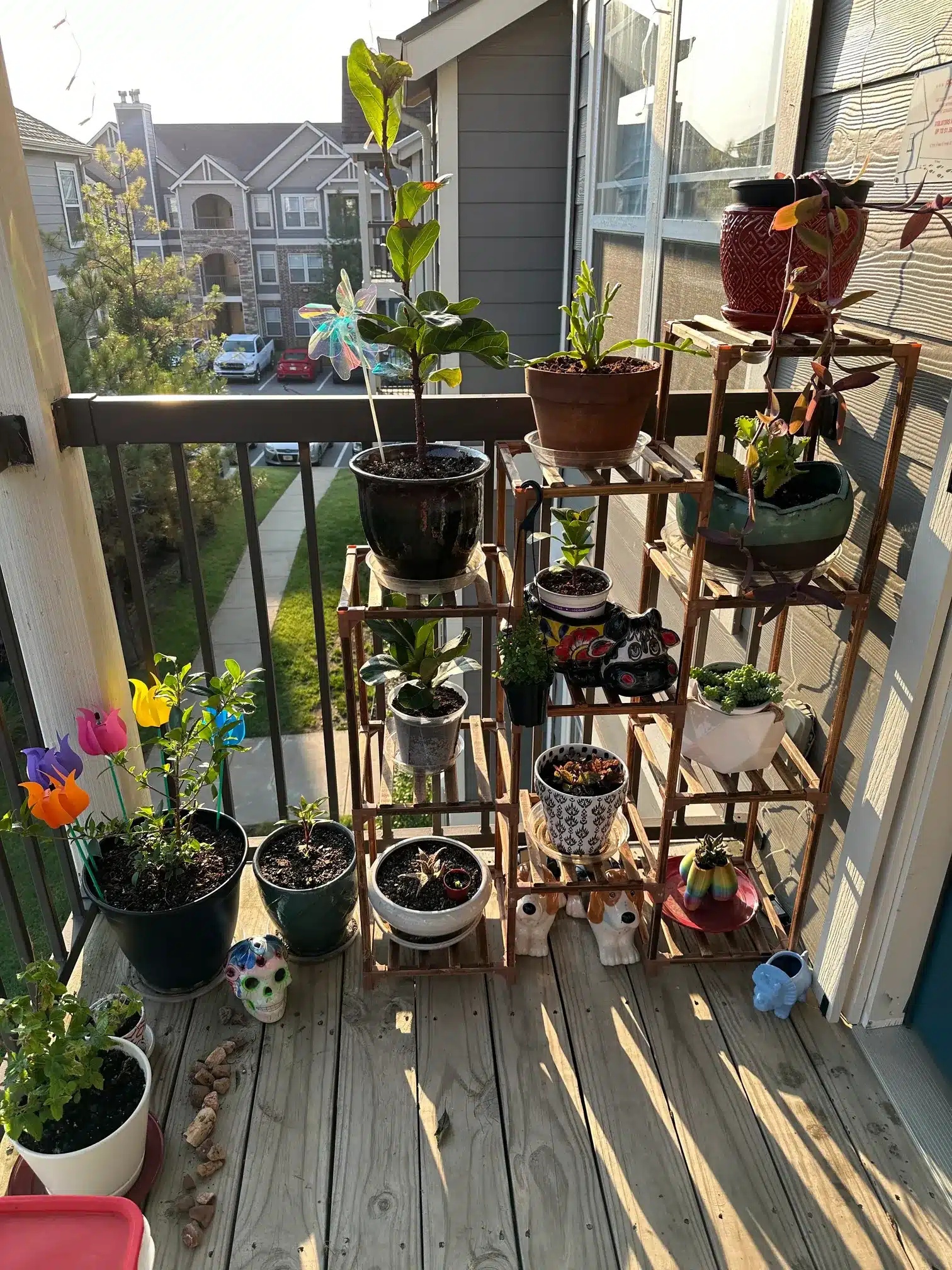 potted plants on the regular balcony