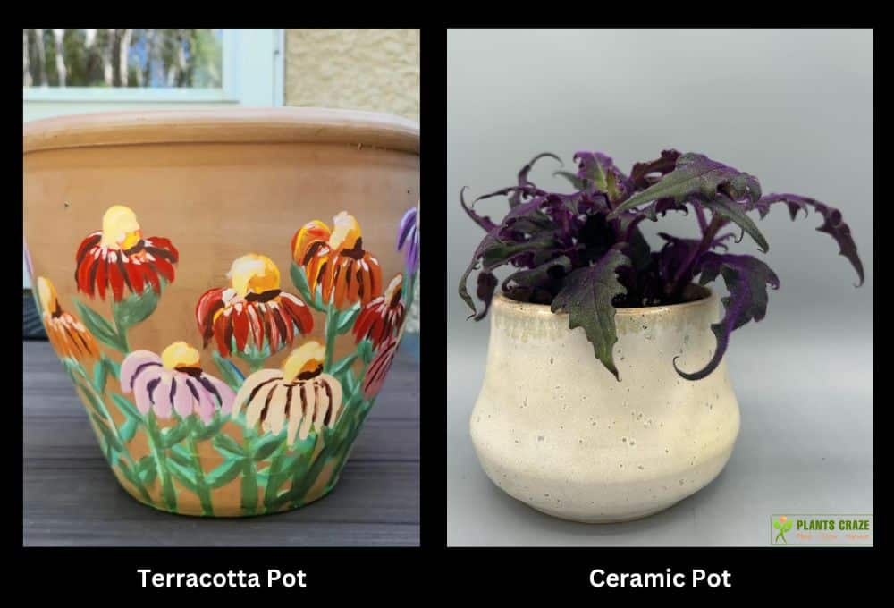 Ceramic Vs Terracotta 