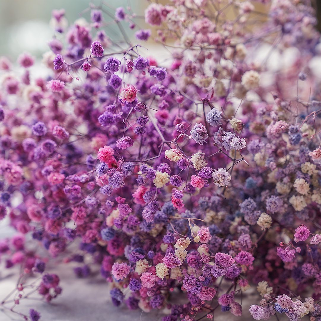 How Long Do Dried Flowers Last? [Preservation Tips]