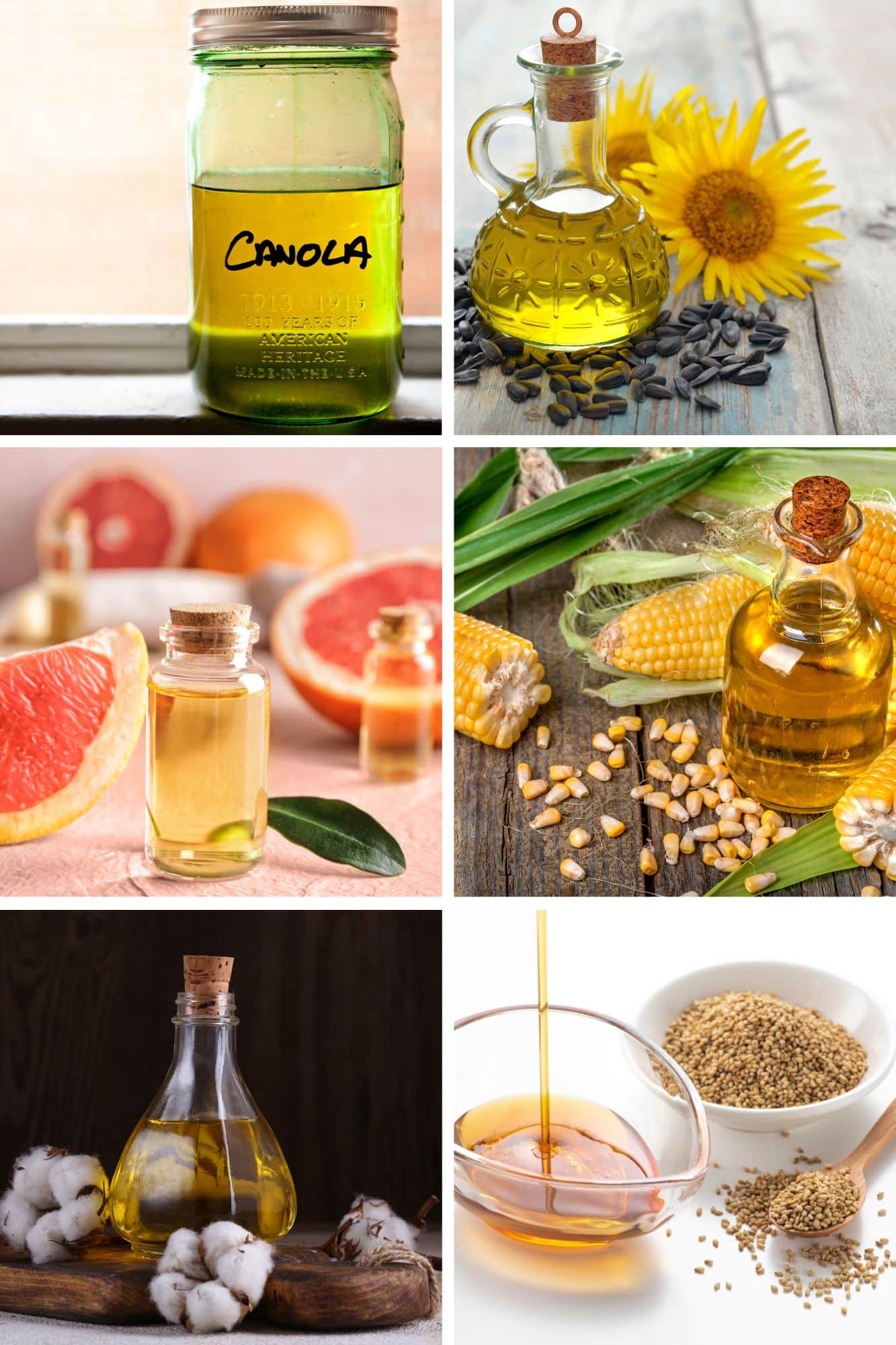 A template with all 6 major seed oil