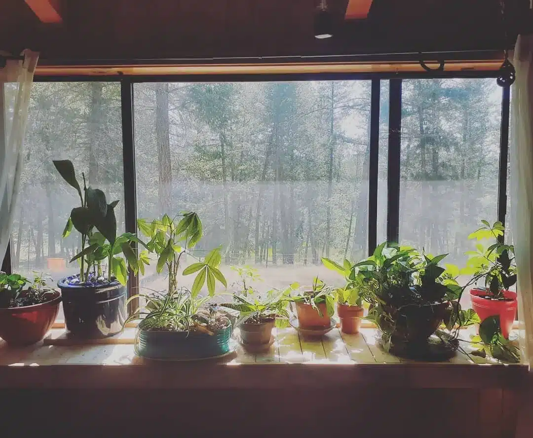 5+ Top Window Plant Shelf DIY Decor Ideas In [current-year]