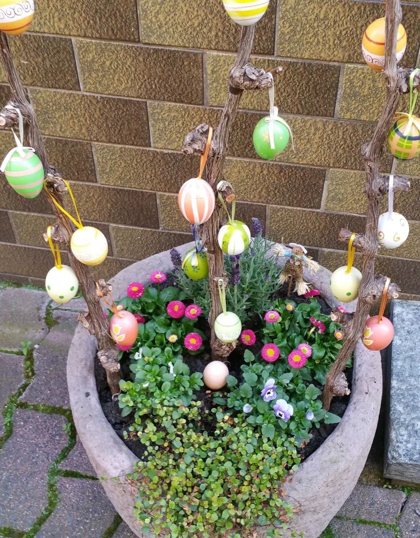 Bunch of colored eggs are hanging on trees